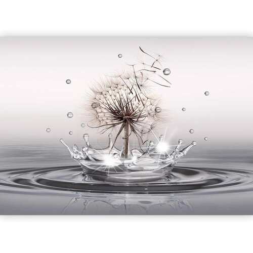  Foto tapeta - Wind Drops 245x175 Cene