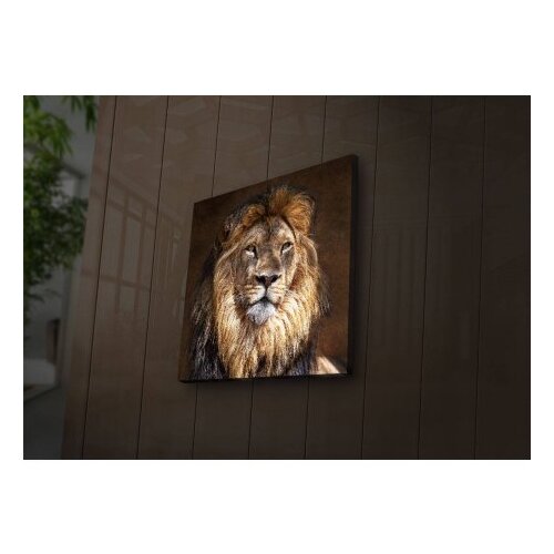 Wallity Slika na platnu sa LED osvetljenjem 40x40cm Cene