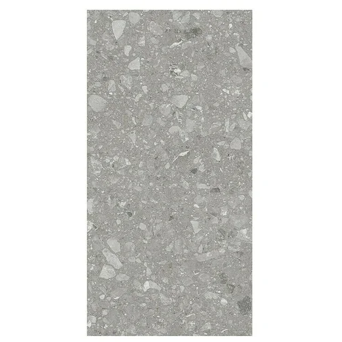  Kamena podna pločica Terra Grey Sugar (120 x 60 cm, Siva, Mat)