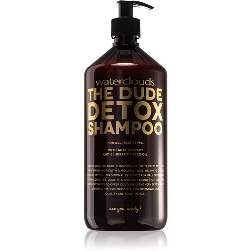 Waterclouds The Dude dnevni razstrupljevalni šampon 1000 ml Cene