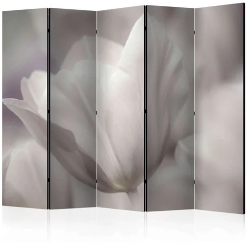  Paravan u 5 dijelova - Tulip - black and white photo II [Room Dividers] 225x172