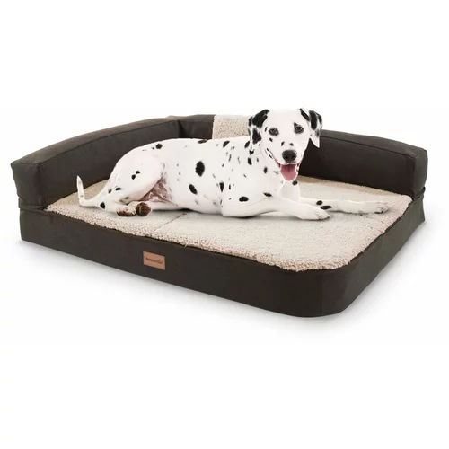 brunolie Odin, krevet za psa, podloga za psa, periva, ortopedska, protuklizna, prozračna, memorijska pjena, veličina M (80 x 10 x 60 cm)