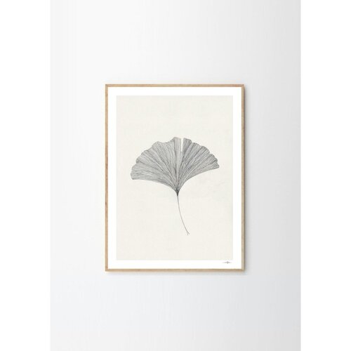 The Poster Club Plakat 50x70 cm Ginkgo Leaf &amp;ndash; Ana Frois &amp;ndash; Slike
