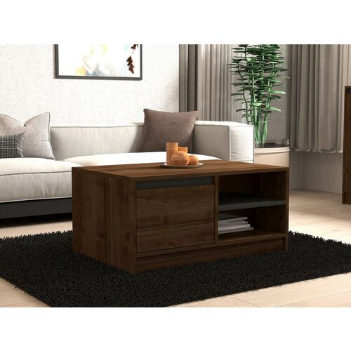 Hanah home Ongu - Walnut, Anthracite WalnutAnthracite Coffee Table Cene
