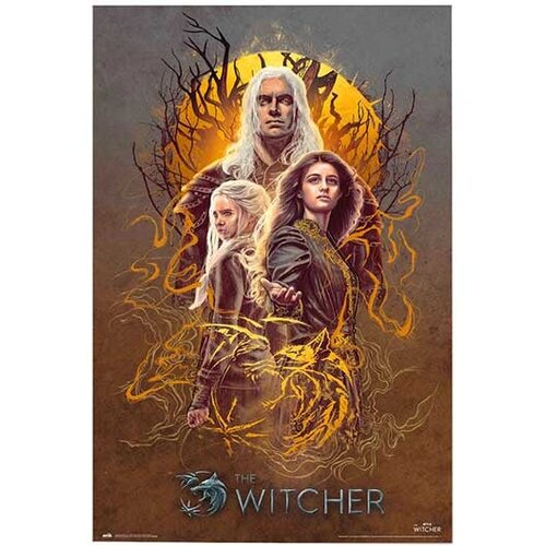 Grupo Erik Editores S. L. The Witcher - Poster - The Witcher 2, Group Cene