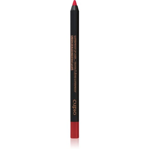Cupio Waterproof Lip Liner olovka za konturiranje usana nijansa True Red 1,2 g Cene