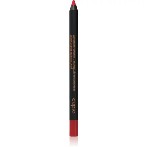 Cupio Waterproof Lip Liner olovka za konturiranje usana nijansa True Red 1,2 g