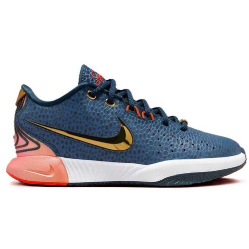 Nike Lebron xxi se kc gs Cene