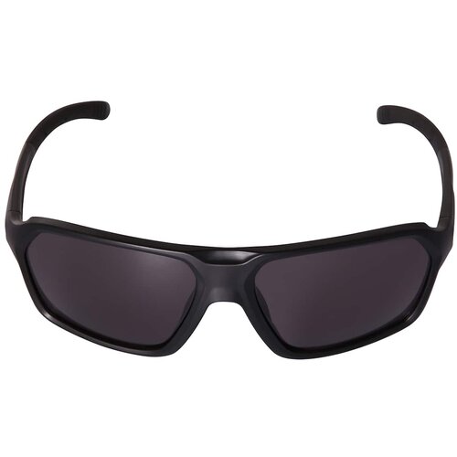 Alpine pro Sluneční brýle BRAZE black Cene