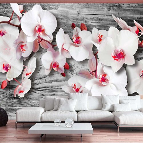  Tapeta - Callous orchids 150x105 Slike