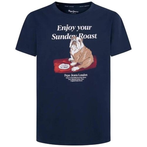 PepeJeans Majice s kratkimi rokavi - Modra Slike