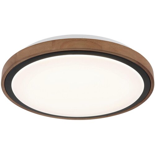 Globo Stropna lampa LED 18W 843lm CCT 3000/4000/6000K fi36cm BRUNO Cene