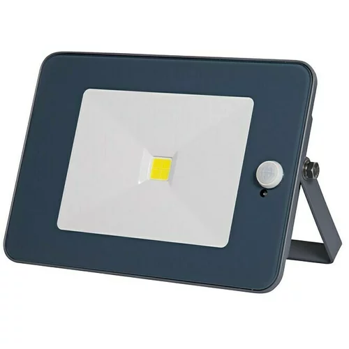 PROFI DEPOT LED senzorski reflektor (S 1 žaruljom, 10 W, Sive boje)