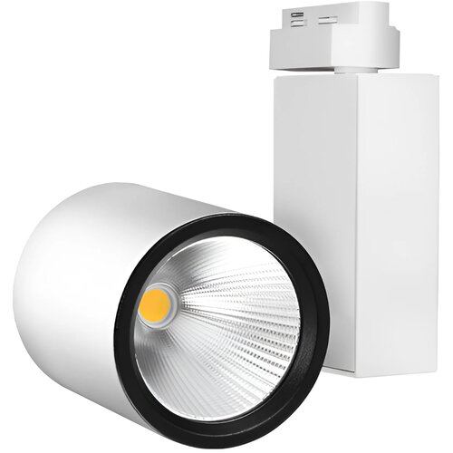 Braytron LED Šinski Reflektor 30W Beli 4000K Monofazni BD30-00210 Cene