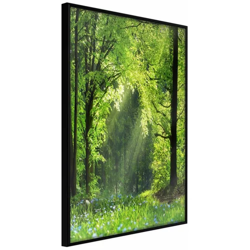  Poster - Forest Path 20x30