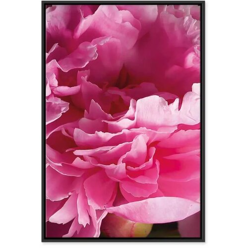 Slika - Blossom of Beauty (1-part) - Pink Peony Flower Embraced by Nature 80x120 Slike