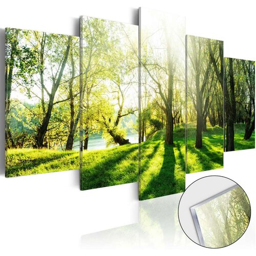  Slika na akrilnom staklu - Green Glade [Glass] 100x50 Slike