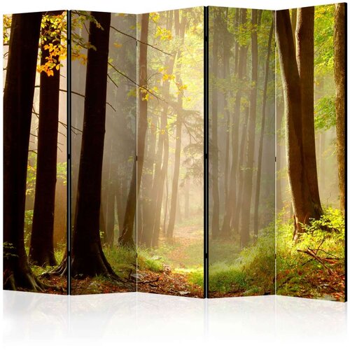  Paravan u 5 dijelova - Mysterious forest path II [Room Dividers] 225x172 Cijene
