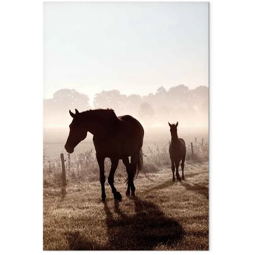  Slika - Morning of Memories (1 Part) Vertical 20x30 Akustična Slike
