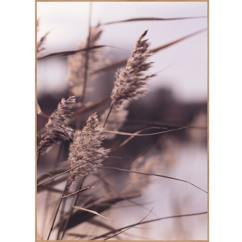 Malerifabrikken Plakat s okvirom 50x70 cm Mellow Grasses 3 – Cijene