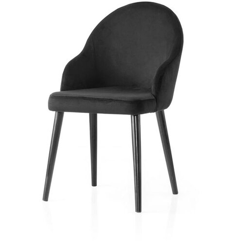 Hanah home Coco - 4804 Black Chair Set (2 Pieces) Cene