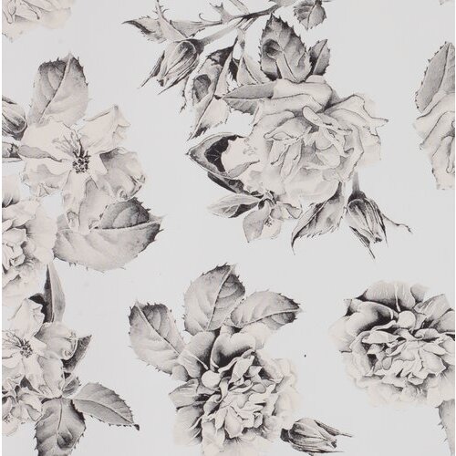 Olimp Sport PVC stolnjak PARIS Cene