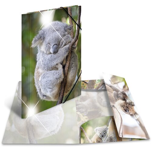 Herma Mapa z elastiko A4 PP, Glossy Koala Slike