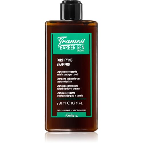 Framesi Barber Gen Fortifying krepilni &scaron;ampon za oslabljene lase, ki so nagnjeni k izpadanju 250 ml Cene