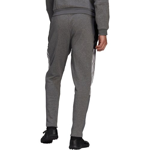 Adidas &amp;Scaron;portne hlače &amp;#039;Tiro 21&amp;#039; pegasto siva / bela Slike