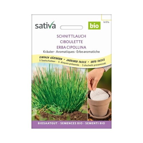 Sativa Drobnjak semenski krogi Slike