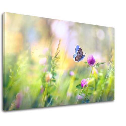  Slike  na platnu šareno CVEĆE_161-11 (moderne slike na platnu) Cene