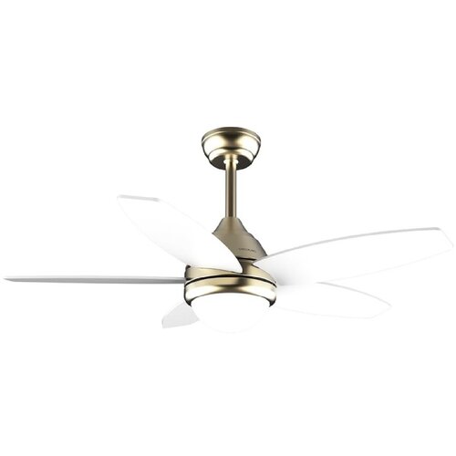 Cecotec 08544 - EnergySilence Aero 4200 ZlatoSvetloLesen, (22118304) Cene
