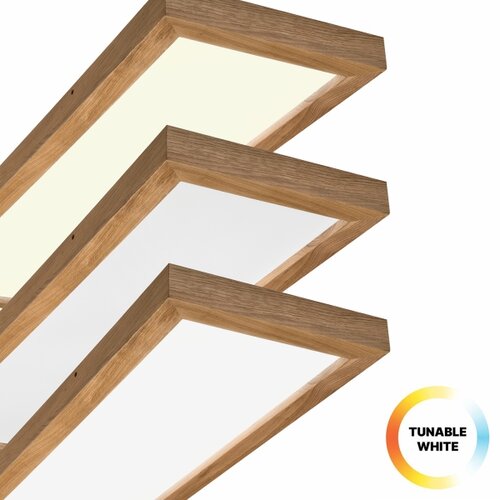  Brilagi-LED LED svetiljka sa prigu&amp;scaron;ivačem WOODY FRAME LED/50W/230V hrast 120x30 cm IP44 +daljinski upravljač Slike