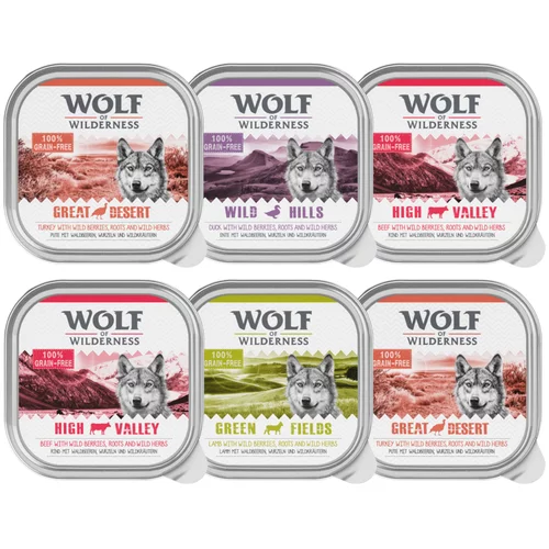 Wolf of Wilderness mešano pakiranje - 6 x 300 g pladnji; govedina, puran, jagnjetina, raca