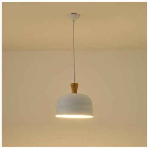  Luster na kablu SIMPLO 1xE27/15W/230V, bela, prečnik 27 cm Cene