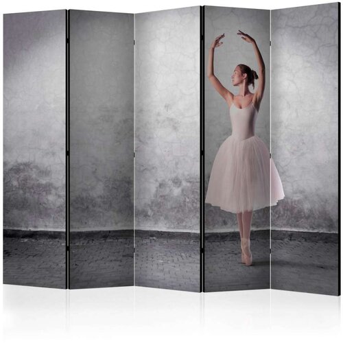  Paravan u 5 dijelova - Ballerina in Degas paintings style II [Room Dividers] 225x172 Slike