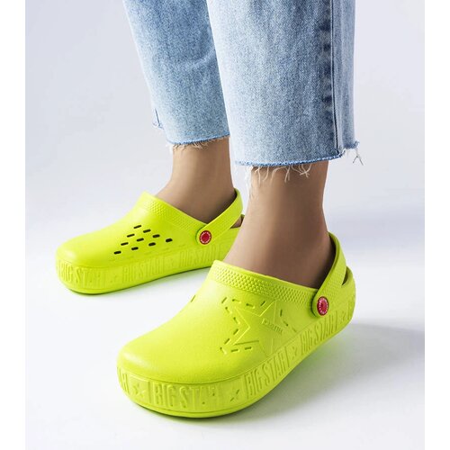 Big Star Green flip-flops Cene