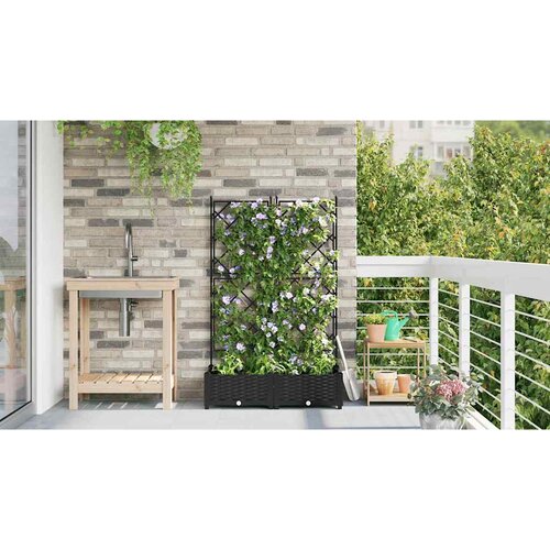  Vrtna saksija 2 pcs Crna 80 x 40 x 125,5 cm Plastika Slike