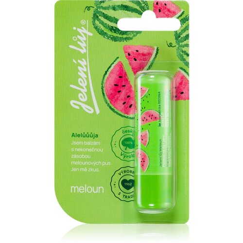 Regina Juicy Summer Watermelon balzam za usne 4,5 g Cene