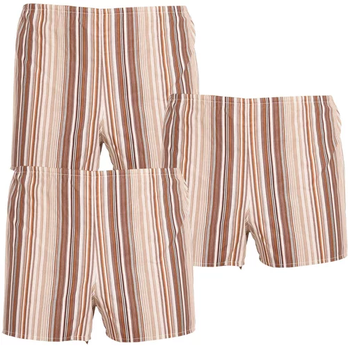 Foltýn 3PACK Men's Classic Shorts brown with stripes
