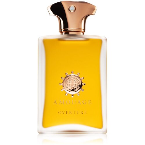 Amouage Overture parfumska voda 100 ml za moške Cene