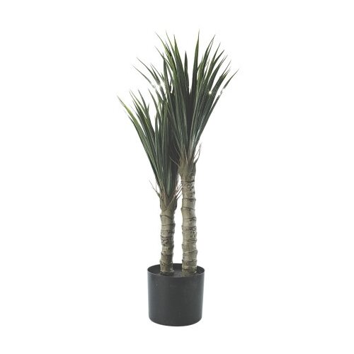 Dekordom Cvet u saksiji - chlorophytum - n60 ( 025148 ) Cene