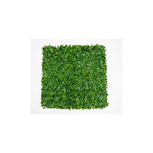 BOLZZ zeleni zid 3D tara 2 100X100 cm BOLZZIDTAR2 Cene