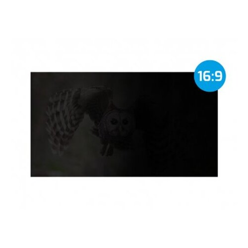 Natec NFP-1477 owl, privacy filter for 23.8&amp;#039;&amp;#039; screen Slike