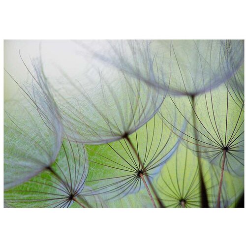  Tapeta - Fleeting moments 400x280 Slike