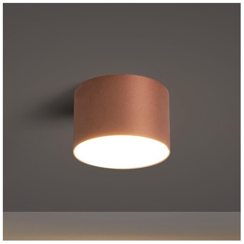 Brilagi Stropno svetlo za kupatilo FORIS LED/9W/230V prečnik 9 cm bronzana IP44 Slike