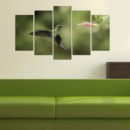 Wallity Set Slika 5M-53, 5 Delova Cene