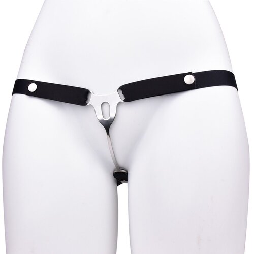 Kiotos Male to Female Chastity Plate with Belt Slike
