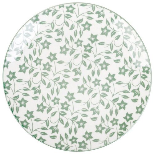 Tanjir RUBIA 19cm - Green - HML Slike