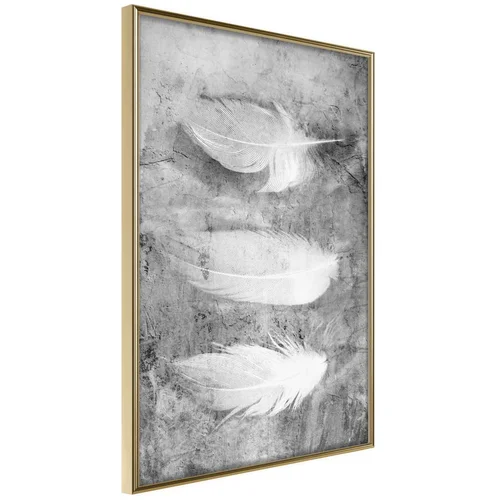  Poster - Delicate Feathers 40x60